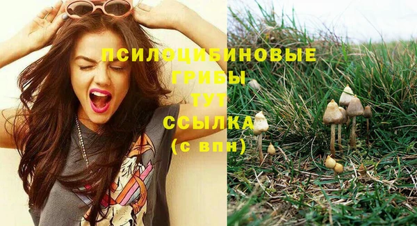 марки lsd Дмитров
