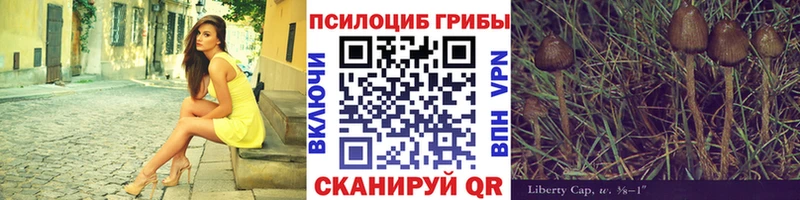 Купить Раменское Галлюциногенные грибы MAGIC MUSHROOMS